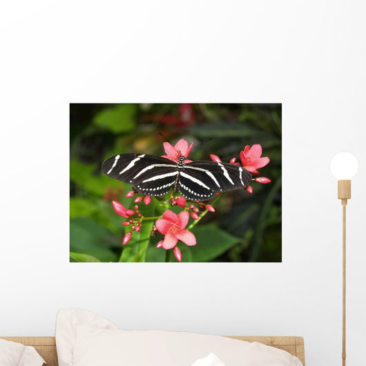 Zebra Longwing Wall Mural