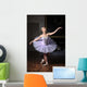 Ballerina Sulle Punte