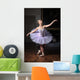 Ballerina Sulle Punte
