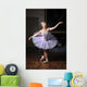 Ballerina Sulle Punte