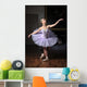 Ballerina Sulle Punte