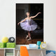 Ballerina Sulle Punte