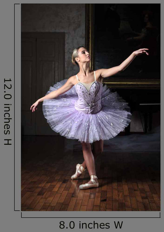 Ballerina Sulle Punte