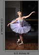 Ballerina Sulle Punte