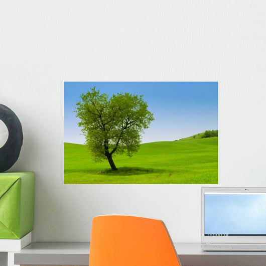 Single Tree