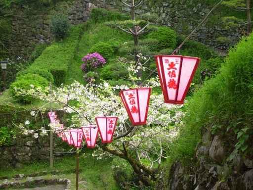 Line Lanterns Wall Decal
