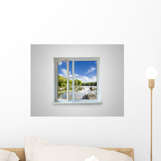 Window