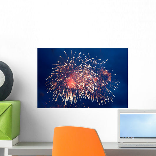 fireworks Wall Mural