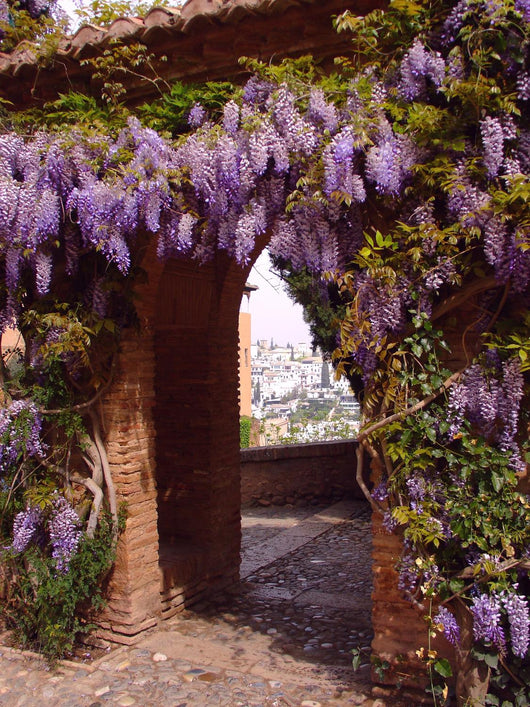 Alhambra Palace - Granada Wall Mural