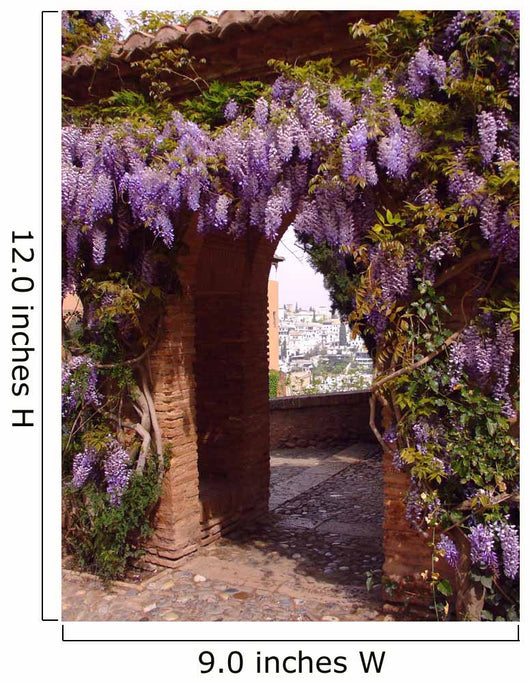 Alhambra Palace - Granada Wall Mural