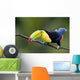 Keel Billed Toucan from