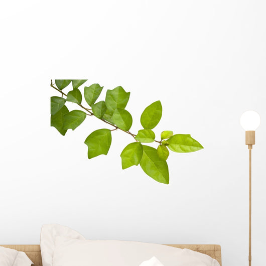 Green Leaves