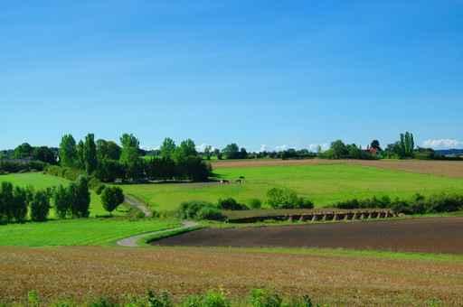 Idyllic Farm Landscape Wall Decal