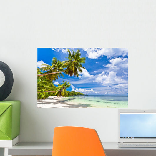 Seychelles Beach Coconut