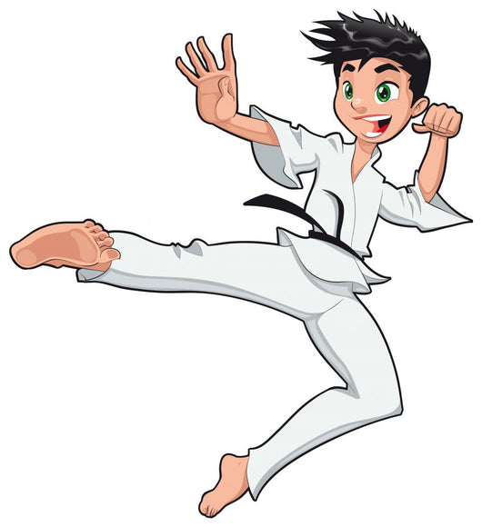 Young Boy Karate Player Wall Decal