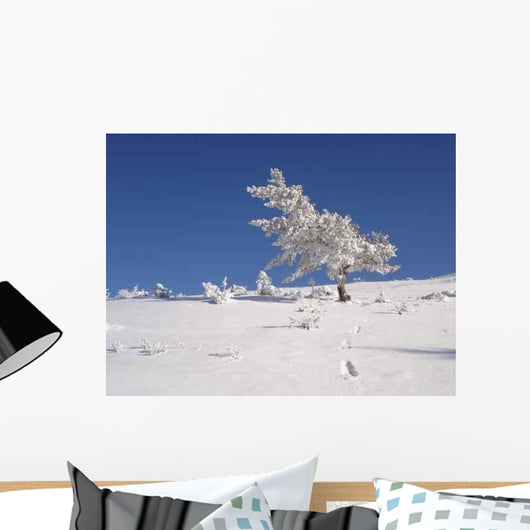 Arbre Givre Wall Decal