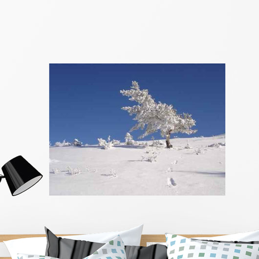 Arbre Givre Wall Decal