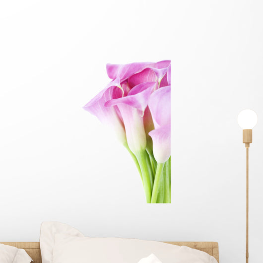 Callas