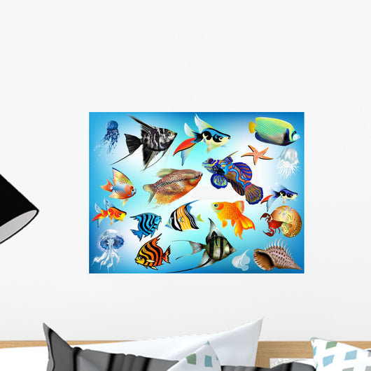 Marine Animals