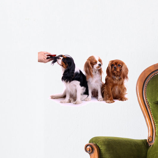 three Sitting Dog Grooming in Wall Decal