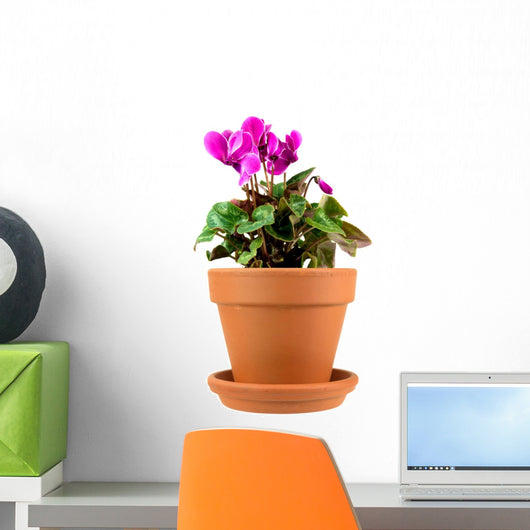 Pot Plant Wall Mural