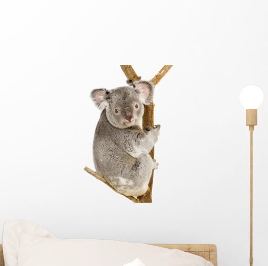 Koala Wall Decal