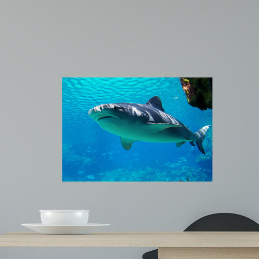 Shark Approaching Wall Decal
