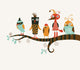 Five Funny Birds Wall Decal