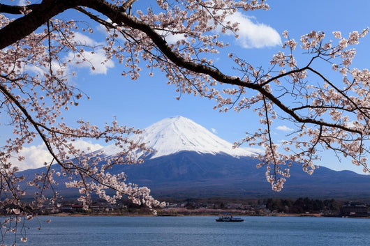 Fuji and Cherry Wall Decal