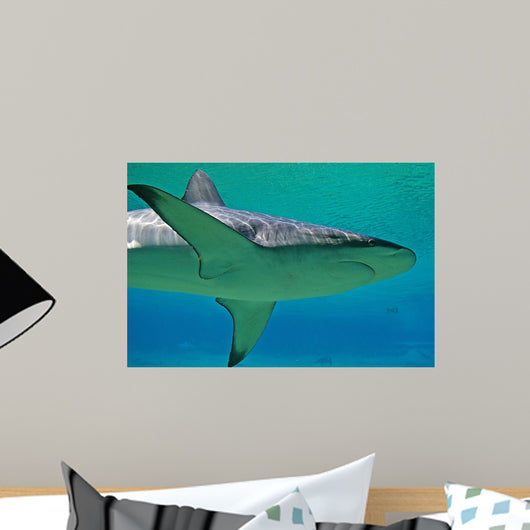 Shark Wall Decal Design 1