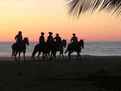 Cow Boys Sunset 3 Wall Decal