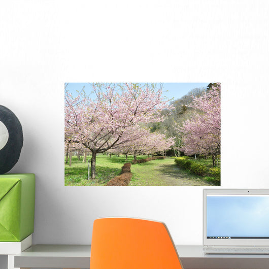 Kawazu Cherry Blossom Park