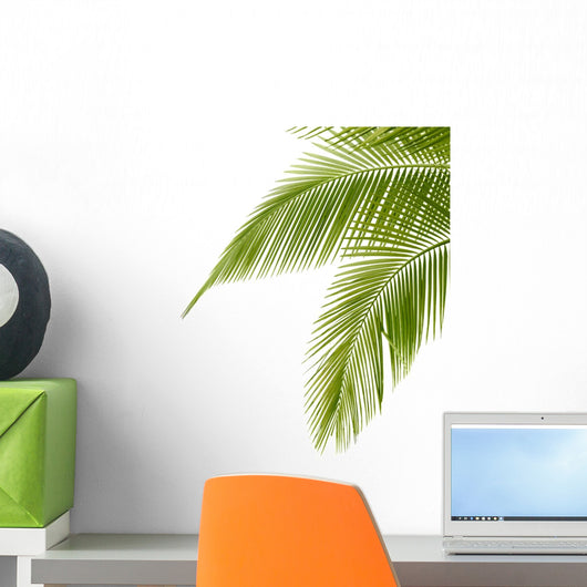 Palm Tree