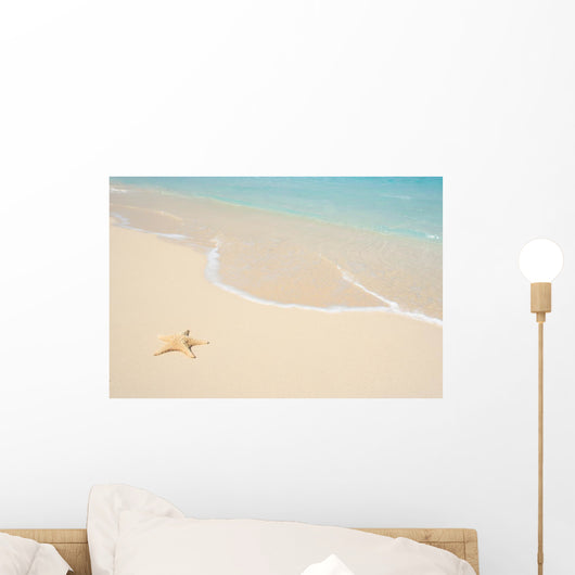 Starfish Beach