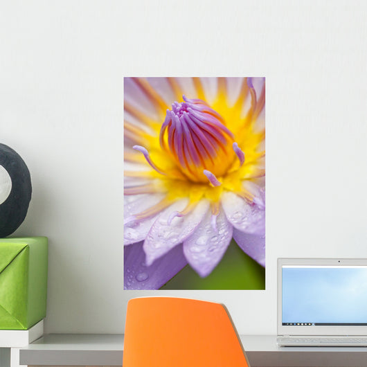 Blue Lotus Wall Mural