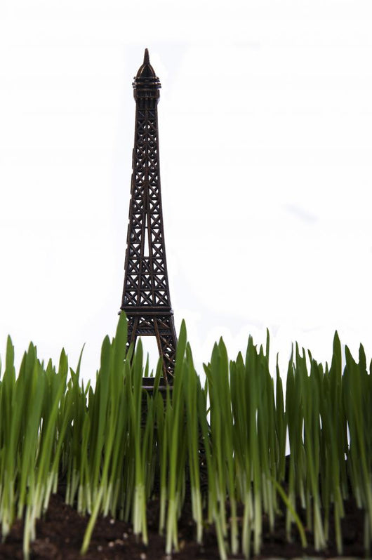Statue Eiffel Tower Green Wall Decal