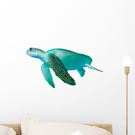 Green Sea Turtle