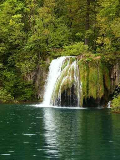 Beautiful Forest Waterfall Wall Decal Design 1