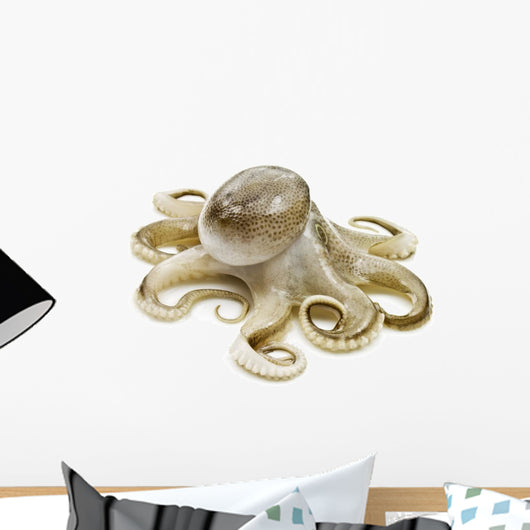 Small Octopus White