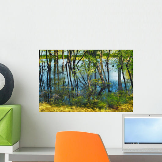 Trees Swamp