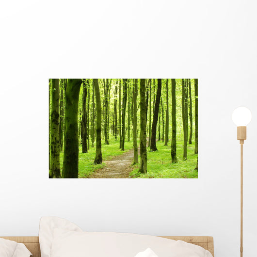 Forest Wall Mural