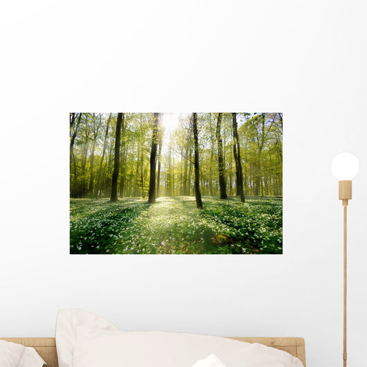 Forest Clearing Backlight