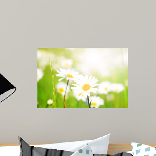 Flower Meadow