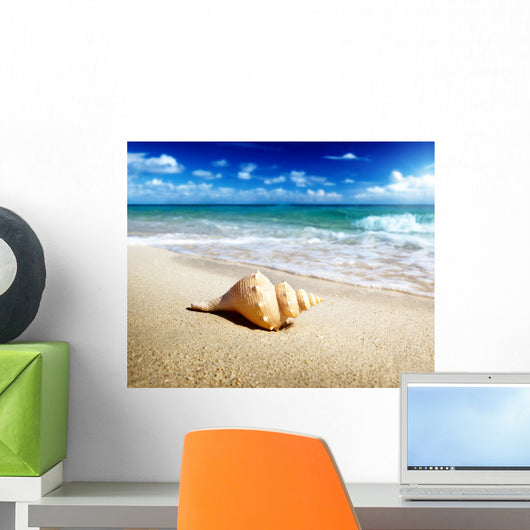 Seashell Beach Shallow Dof Wall Mural