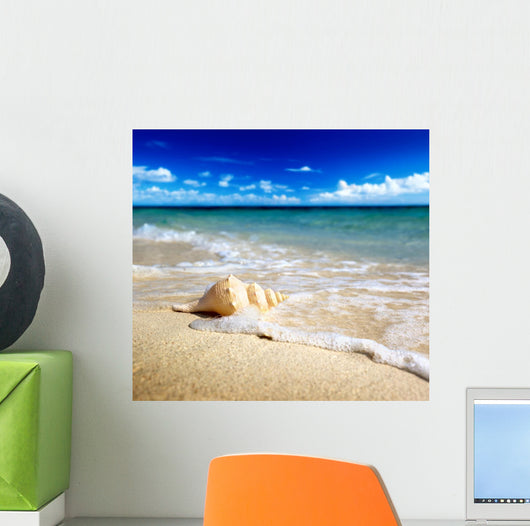 Seashell Beach Shallow Dof