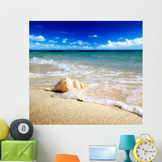 Seashell Beach Shallow Dof