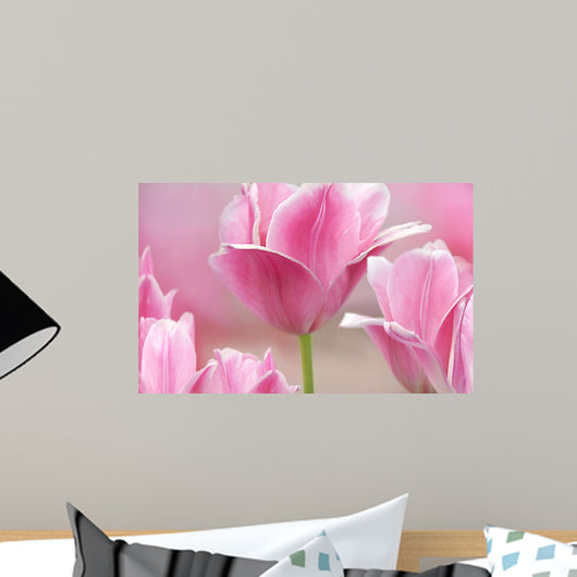 Pink tulips close up Wall Mural