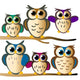 owl family Wall Decal