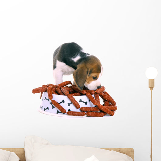 Beagle Puppy with Bowl