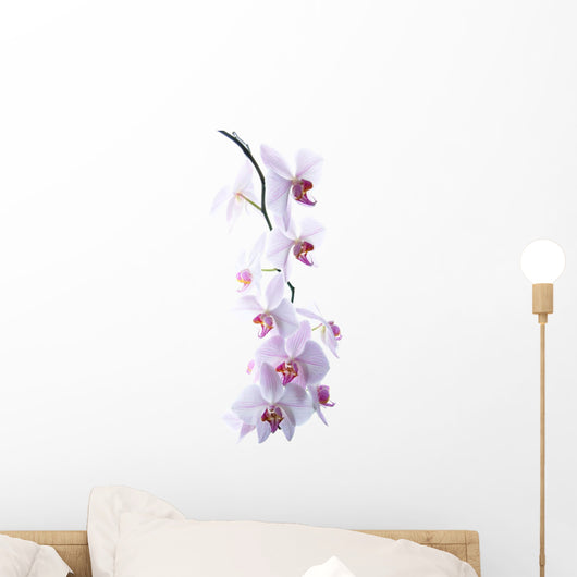 Pink Spotted Orchids Wall Decal
